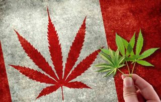 Canadian Flag with Marijuana Leaf