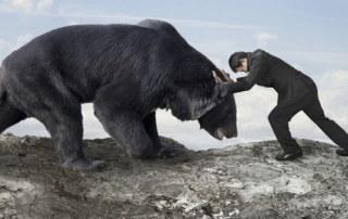 Stock holder in shoving match with bear