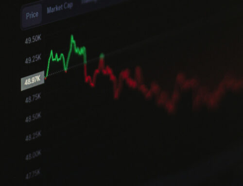 Stock Rover vs Seeking Alpha: Stock Software Comparison With VectorVest